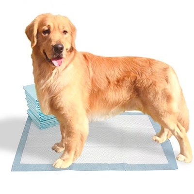 Kertas tisu Fluff Pulp SAP Disposable Pet Pads Untuk Anjing
